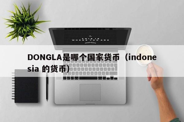 DONGLA是哪个国家货币(indonesia 的货币)