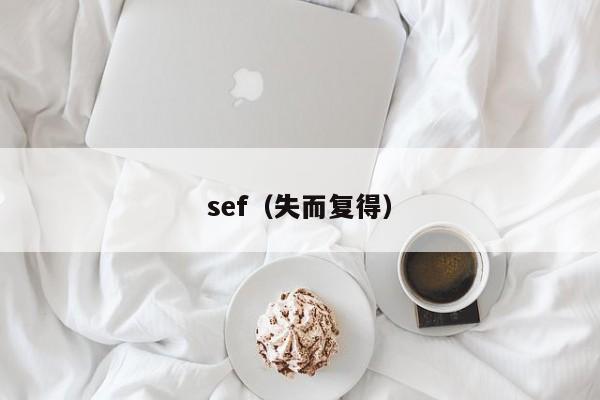 sef(失而复得)