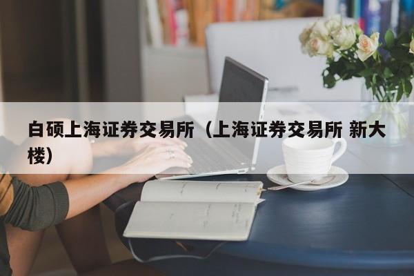 白硕上海证券交易所(上海证券交易所 新大楼)