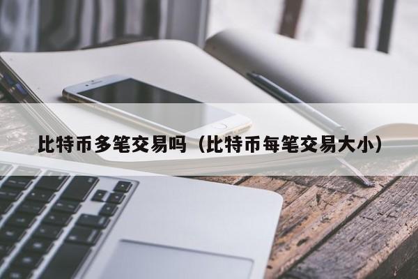 比特币多笔交易吗(比特币每笔交易大小)