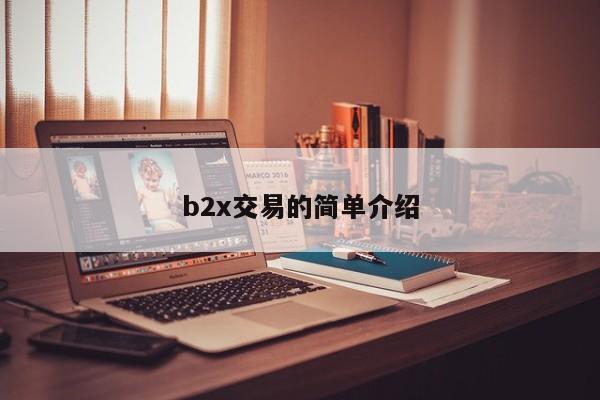 b2x交易的简单介绍